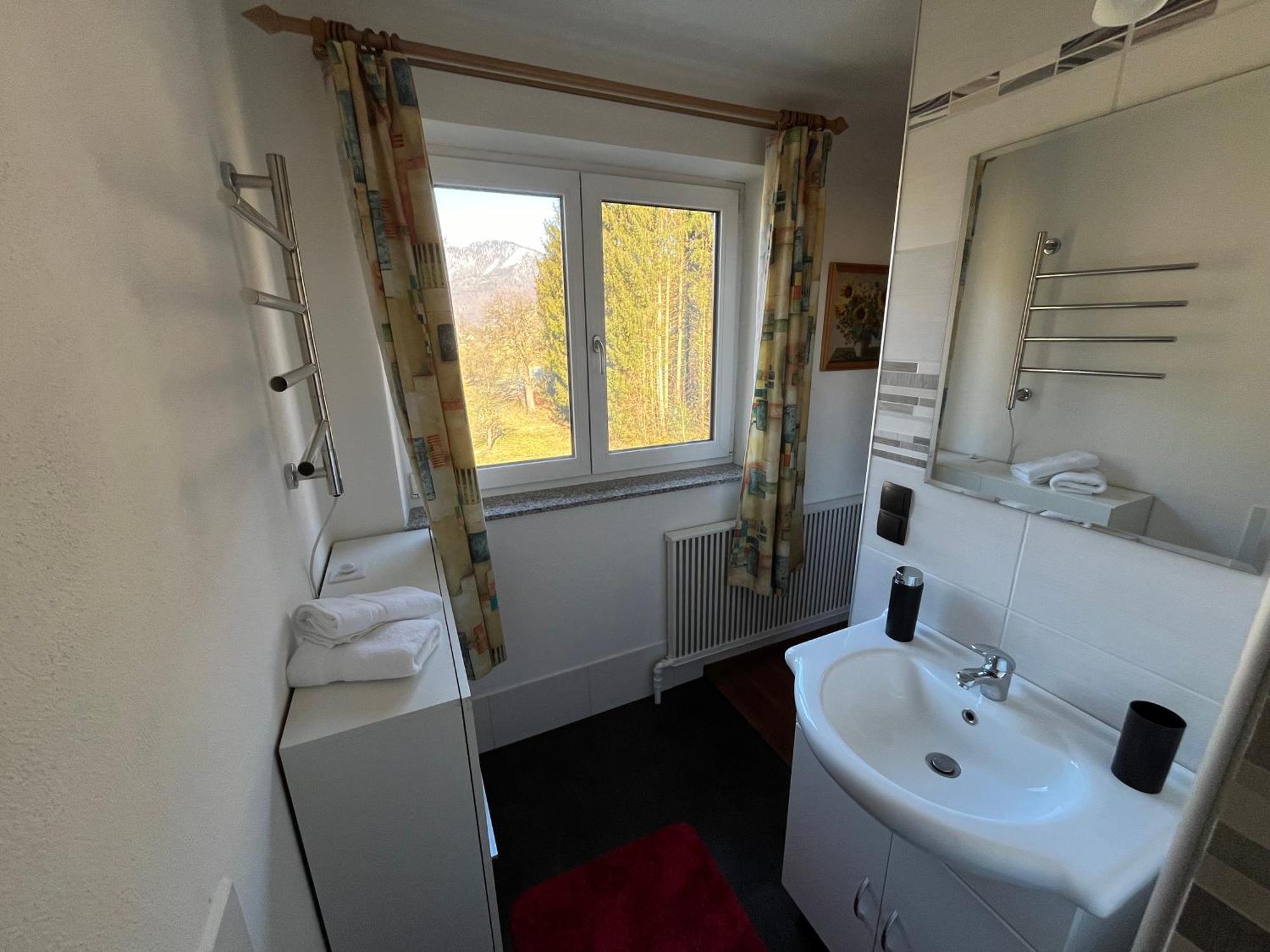Ferienwohnung Am Stambach Bad Goisern Esterno foto